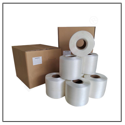 19MM Polyester Baler Tape 250 Meter Rollen BM65